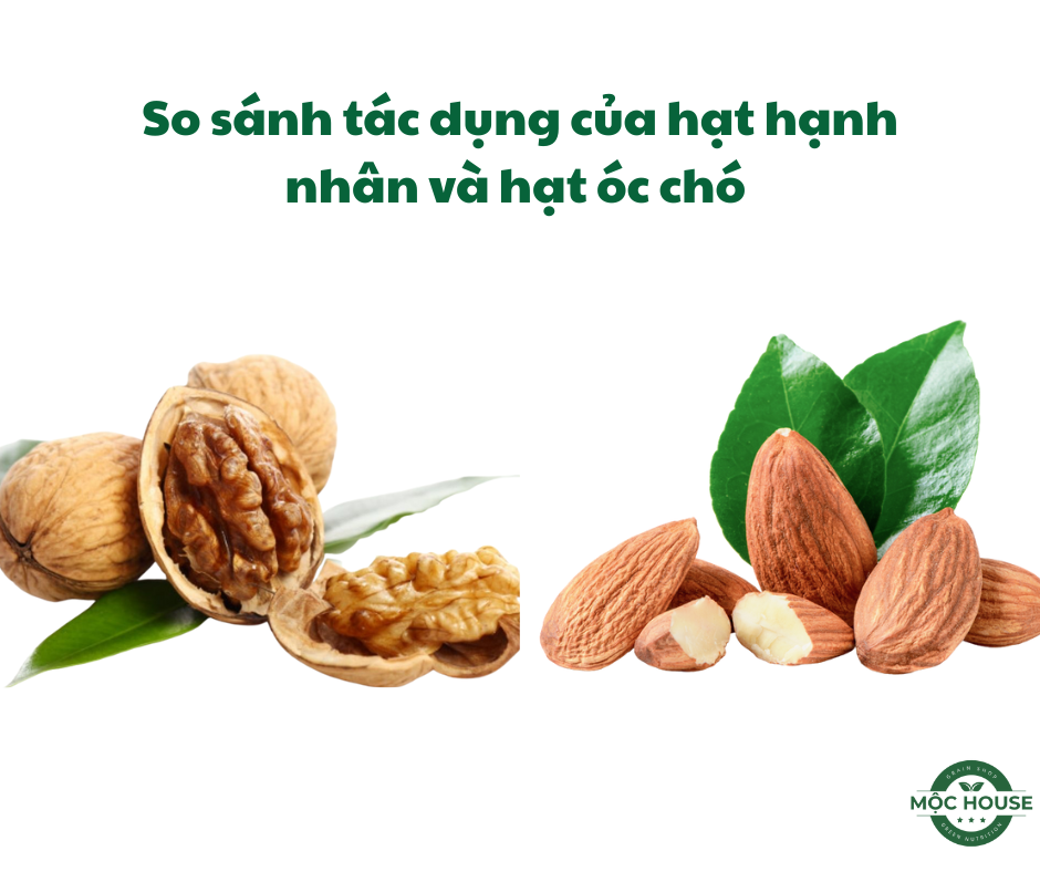 so sánh hạt hạnh nhân vào hạt óc chó