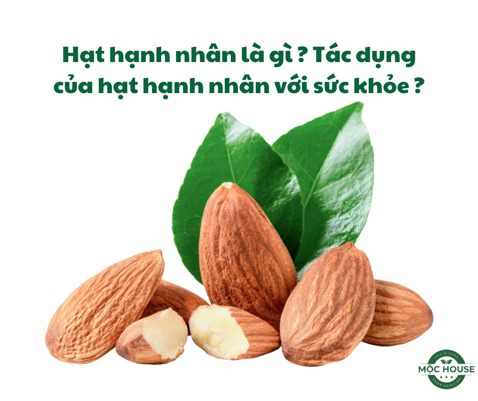hạt hạnh nhân là gì
