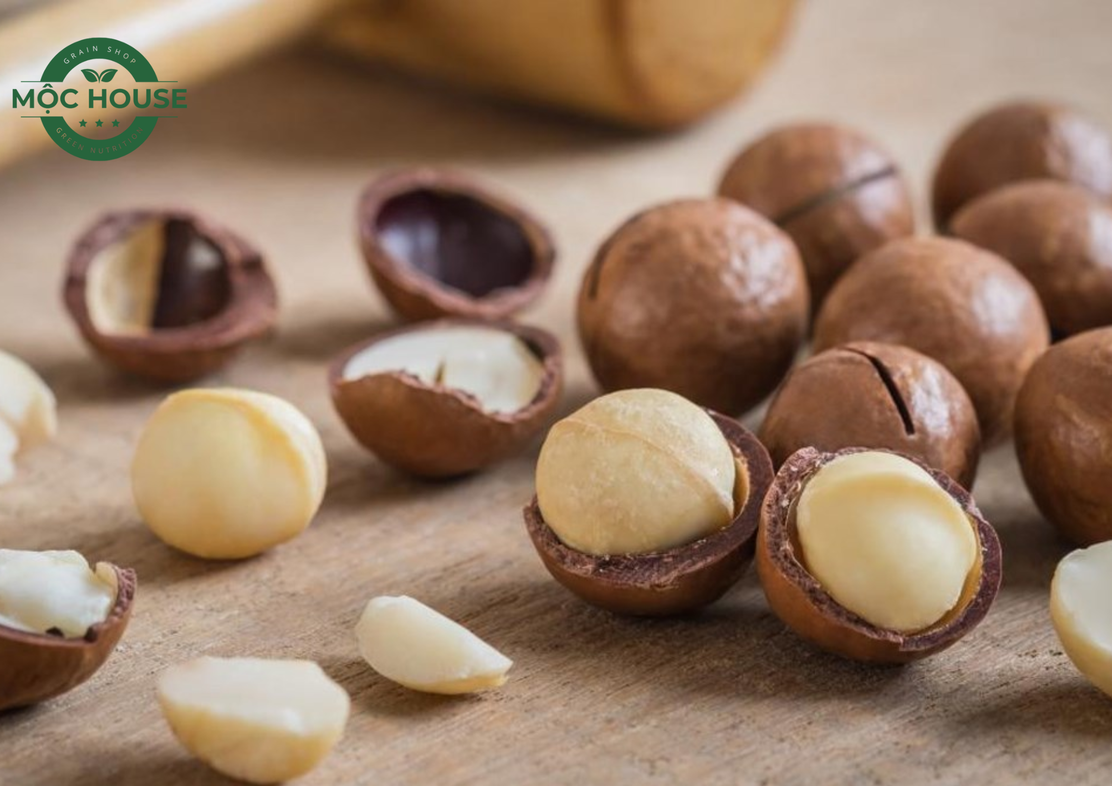 macca nut vo