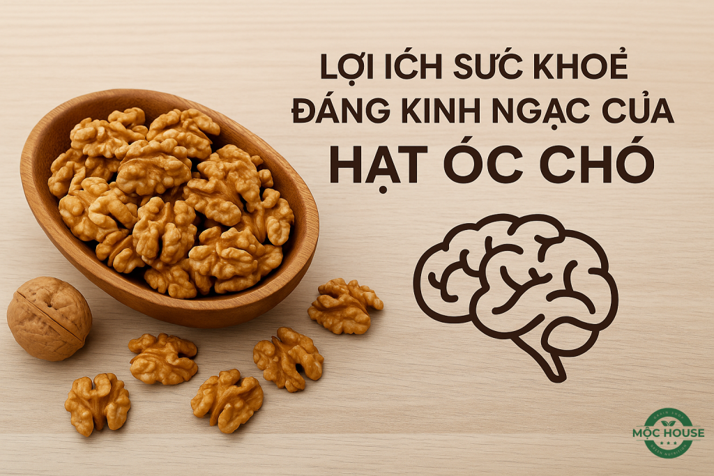 loi ich suc khoe hat oc cho