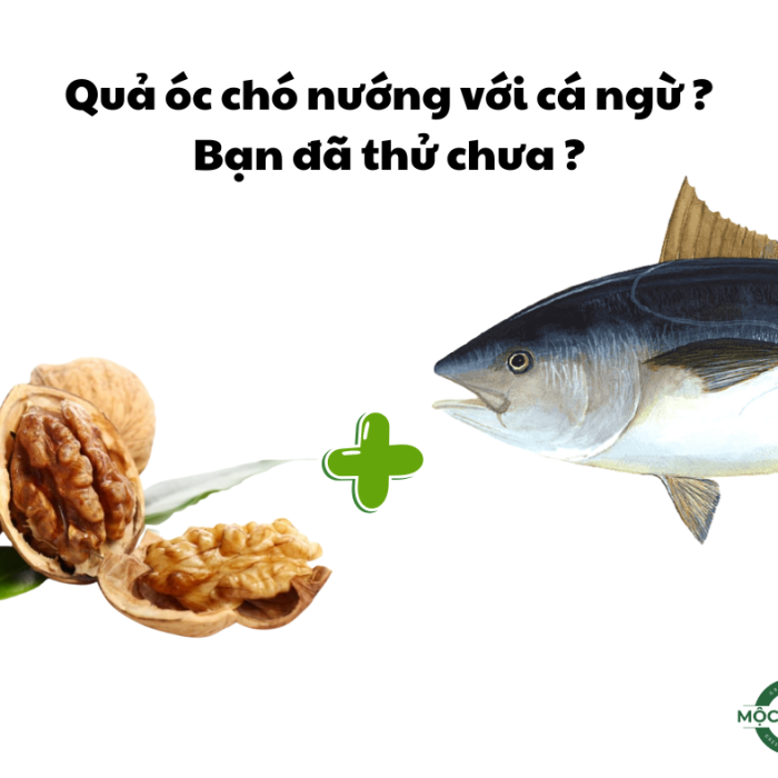qua oc cho nuong voi ca ngu cach lam